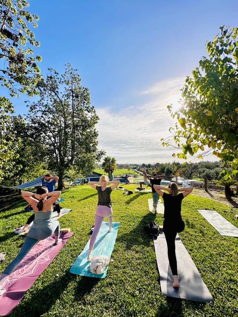Mallorca: Holistic Private Yoga and Meditation Retreat - Why This Mallorca Retreat Feels Different Than a Studio Class