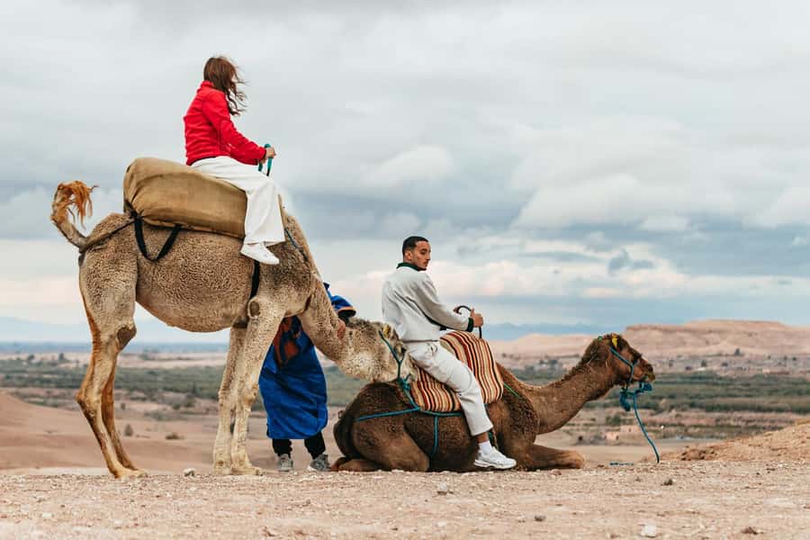 Marrakech: Agafay Desert Retreat, Tent, Dinner, Show & Pool - Price and value: what $71 buys you (and why it’s fair)