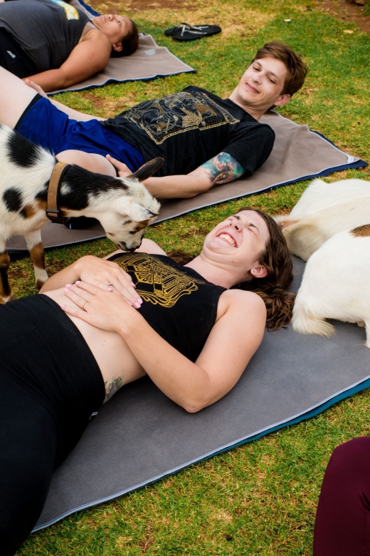 Maui Goat Yoga with Miniature Goats - Maui Goat Yoga Is Basically a Stress-Reset With Real Animals