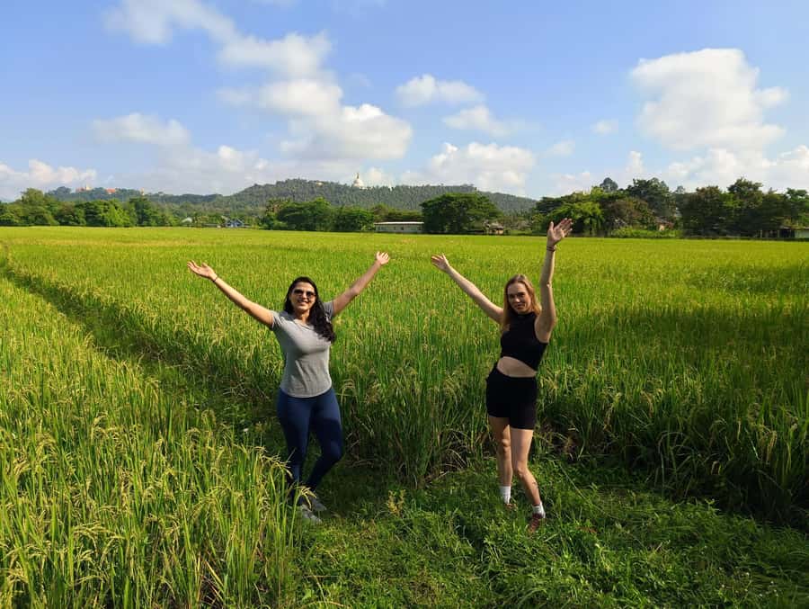 Meditation & Yoga Retreat in Nature - Yoga in the Studio or Garden, Adjusted to Your Body