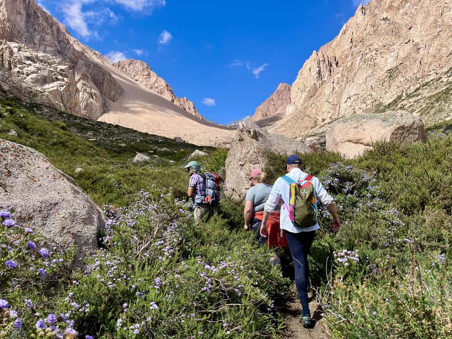 Mendoza: Hiking, Meditation & Yoga in the Andes with Lunch - A Mindful Andes Day in Mendoza: what it really feels like