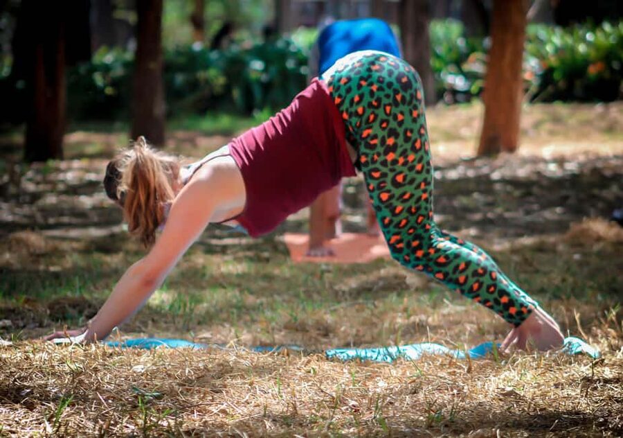 Mexico City: Chapultepec Park Yoga Class with Sound Bath - Key Things You Should Know Before You Go