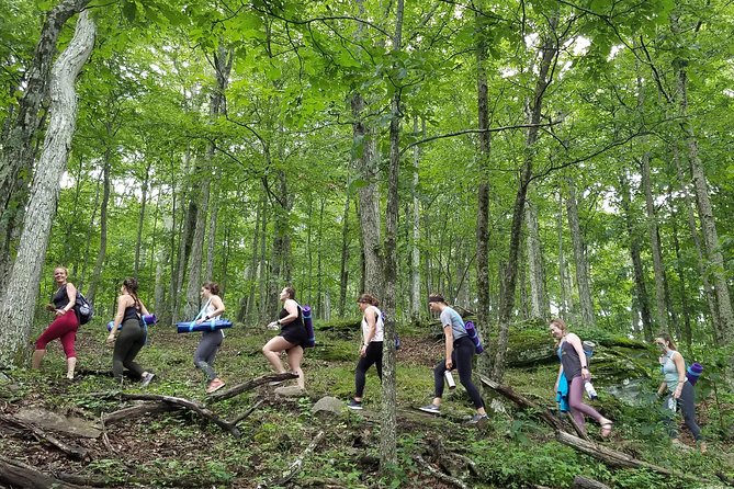 Mountaintop Yoga & Meditation Hike in Asheville - Price and Value: What You’re Paying For at $75