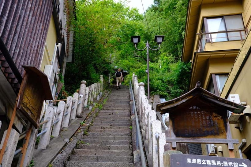 Nagano/Myoko: Snow Monkey & Hot Spring Retreat Private Tour - Price and value: what $153 really buys you