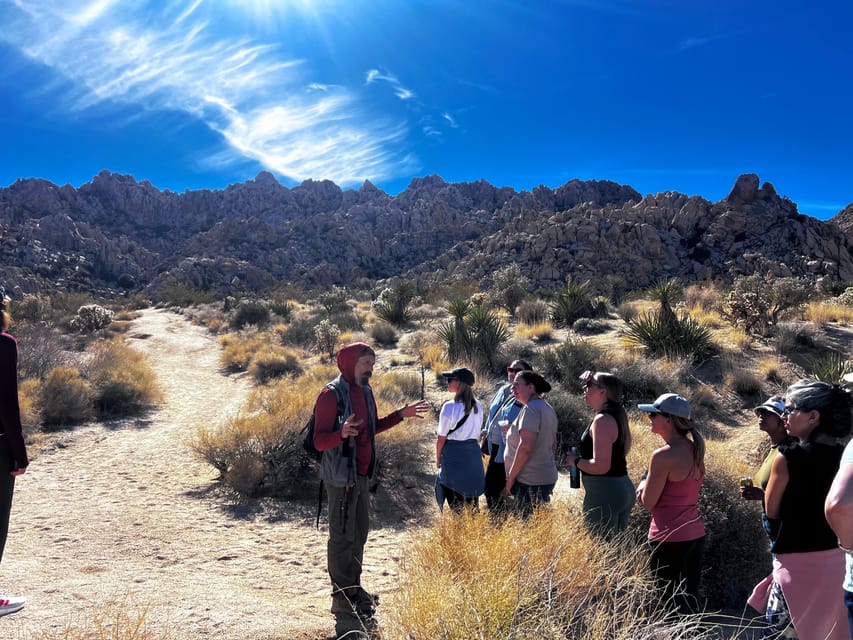 Nature Walk+Cacao Ceremony+Soundbath Meditation- Joshua Tree - Who This Tour Fits Best (and Who Might Skip It)