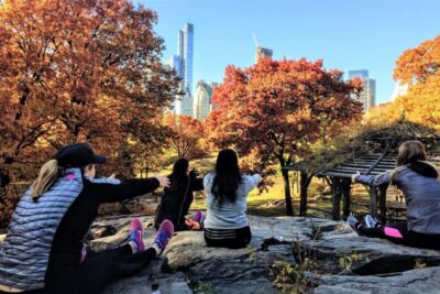 New York City: Central Park Yoga and Walking Tour - 90 Minutes of Yoga-Inspired Walking: How the Timing Works in Real Life