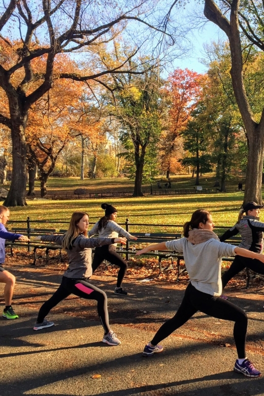New York City: Central Park Yoga and Walking Tour - Yoga Flows and Meditation Breaks: Instruction That Fits Beginners