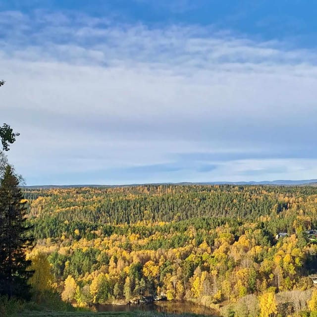 Oslo: Yoga & Hiking with a dog - Key things to know before you go