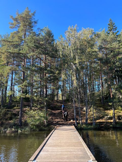 Oslo: Yoga & Hiking with a dog - The guided hike: 2.5 hours of trails, viewpoints, and optional lake time