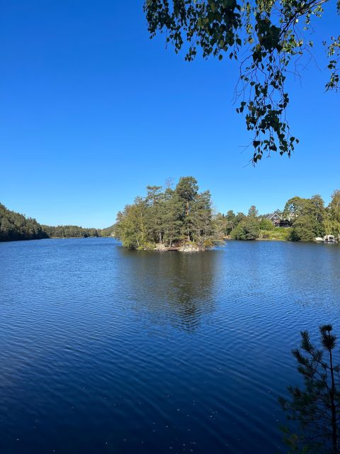 Oslo: Yoga & Hiking with a dog - What to wear and bring (so you don’t think about it later)