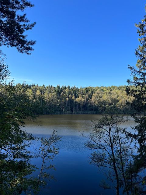 Oslo: Yoga & Hiking with a dog - Getting to Kolbotn and how the morning runs (without stress)