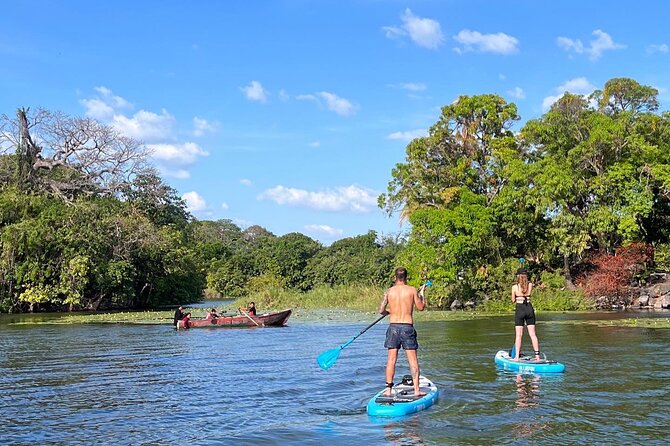 Paddle Boarding and Meditation Wellness Experience in Las Isletas - Las Isletas Stop: Monkeys, Birds, and Quiet Water Moments