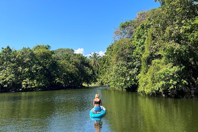 Paddle Boarding and Meditation Wellness Experience in Las Isletas - Meditation on the Water: Why the Zen Works on SUP