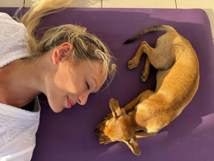 Paphos (Peyia): Mindful Yoga with Rescue Puppies - Key highlights at a glance