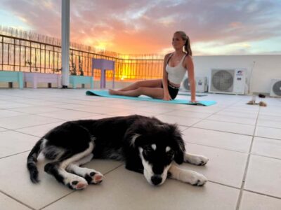 Paphos (Peyia): Mindful Yoga with Rescue Puppies - The yoga part: slow, guided, and beginner-safe