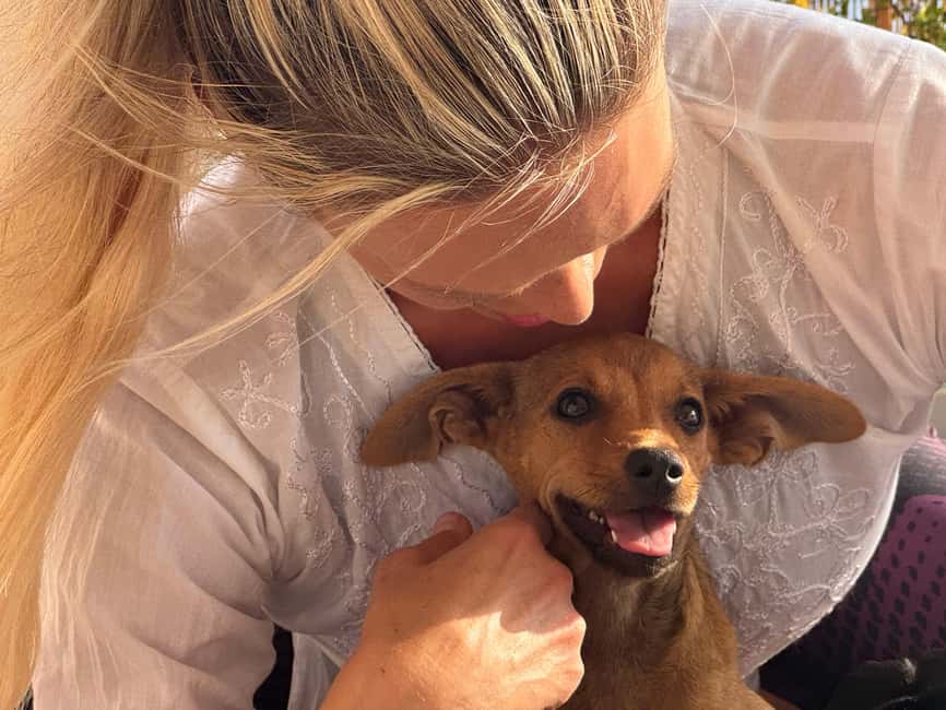 Paphos (Peyia): Mindful Yoga with Rescue Puppies - Why this feels like meaningful value, not just a cute hour