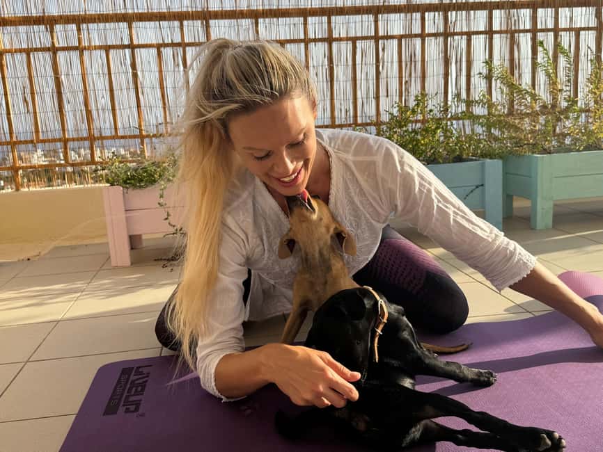 Paphos (Peyia): Mindful Yoga with Rescue Puppies - Logistics that matter: how to show up and not stress