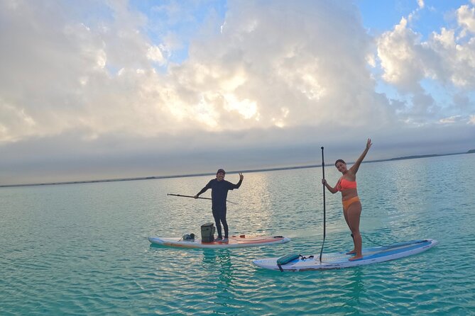 Pirate's Channel & 3 Lagoons Kayak or SUP/Paddle Tour +Meditation - Mangrove Sanctuary and Bird Sounds: Nature’s Quiet Is the Real Souvenir
