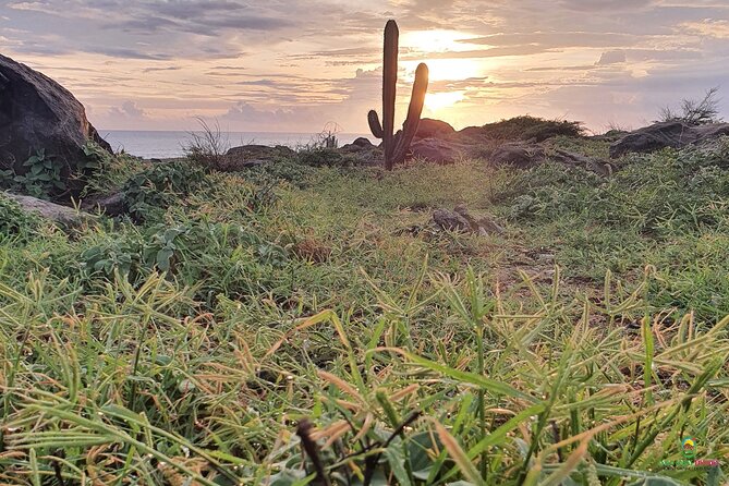Private Guided Beach Meditation & Hike + Transfer - Firemen’s Trail hike: down toward the sea, up for your senses