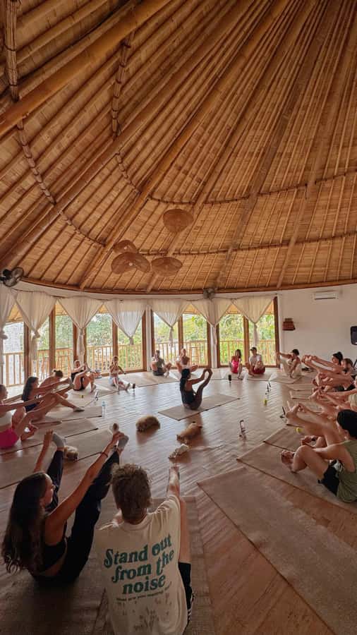 Puppy Yoga in Bali, Ubud & Uluwatu - Gentle Hatha meets puppy cuddles in Bali