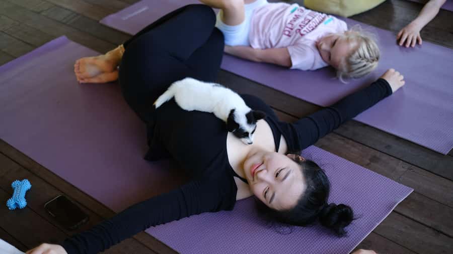 Puppy Yoga in Bali, Ubud & Uluwatu - Who this is best for (and who should rethink it)