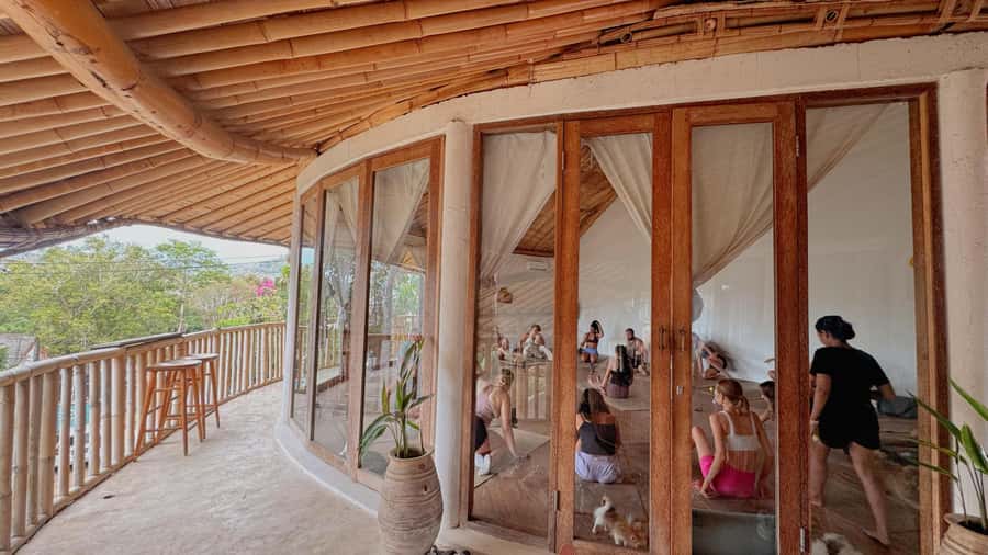 Puppy Yoga in Bali, Ubud & Uluwatu - Should you book Puppy Yoga in Bali?