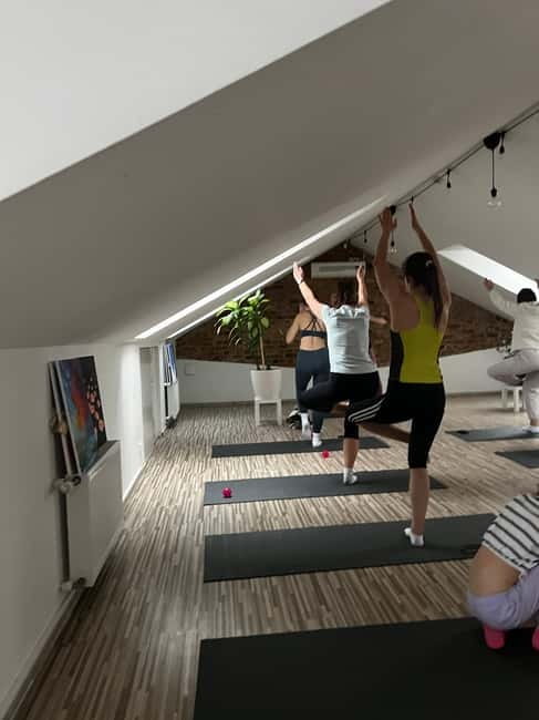 Puppy Yoga in Riga - The 60-minute class: yoga flow plus puppy energy