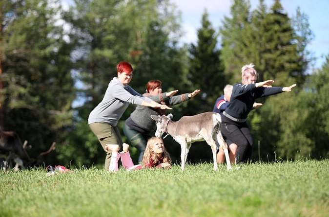 Reindeer yoga - Instruction Style: Piritta’s Mix of Simple Cues and Reindeer Facts