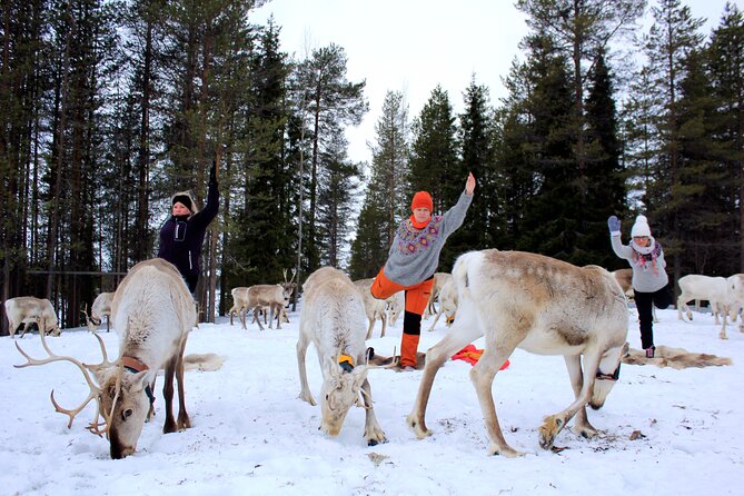 Reindeer yoga - Weather Reality: What to Wear for Outdoor Stillness in Kuusamo