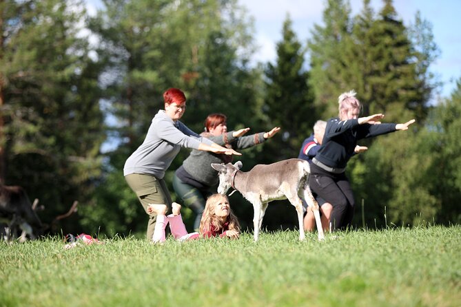 Reindeer yoga - Price and Value: What $59.15 Buys You Here