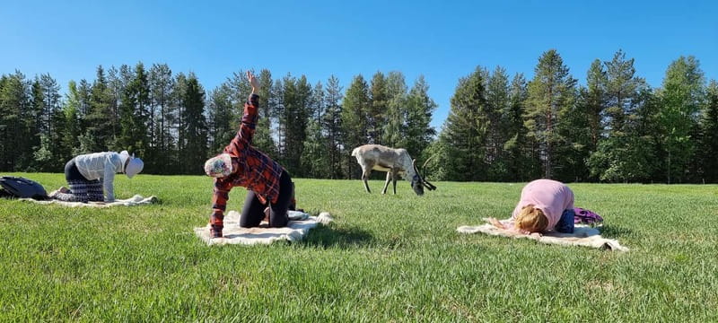 Reindeer yoga in Kuusamo - The Schedule: From Farm Gate to Yoga Mat to Crafts