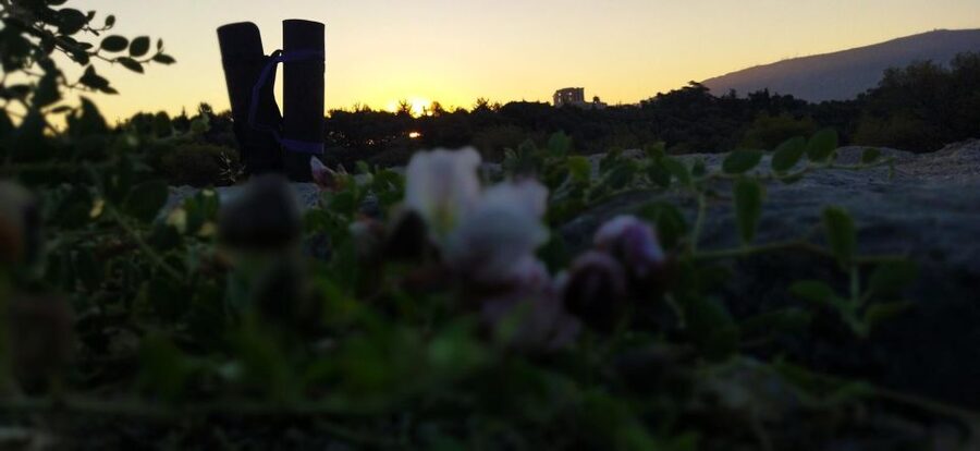 Sunrise Yoga & Meditation Acropolis & 360 view - Timing, Duration, and How to Plan Your Day After