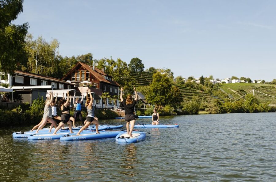 SUP Yoga with Guide - Vineyard River Views While You Balance in Tree Pose