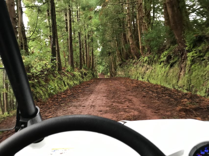 Terceira: Buggy Tour 4x4 West Side Azores Retreat - Price and value: $200 per group (up to 2) is a smart deal if you plan with two people