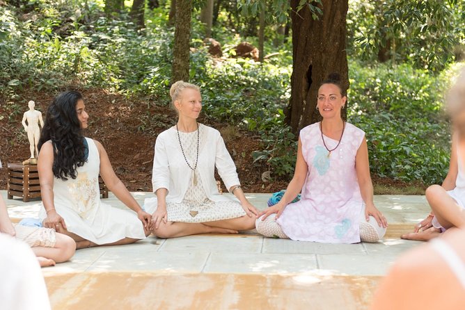 Yin Yoga Therapy Teacher Training in Goa - 100 Hours - Workshops Beyond Typical Yin: Acupuncture, Sound Healing, Human Design