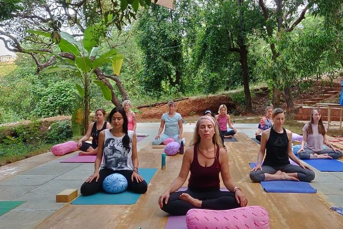 Yin Yoga Therapy Training - 200 Hours (Yoga Alliance) - The jungle shala, the hilltop pool, and why the venue matters