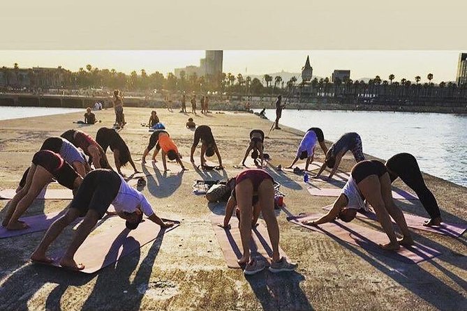 Yoga by the Sea in Barcelona - Price and Logistics: What $21.63 Gets You (and What Costs Extra)