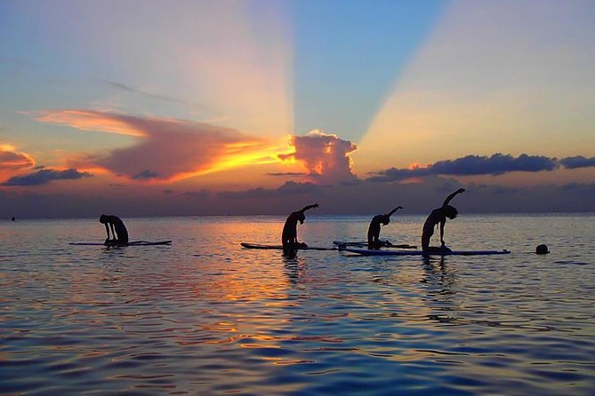 Yoga Paddle Aqua Zen, yoga on a floating carpet in connection with nature! - Key highlights you’ll notice fast